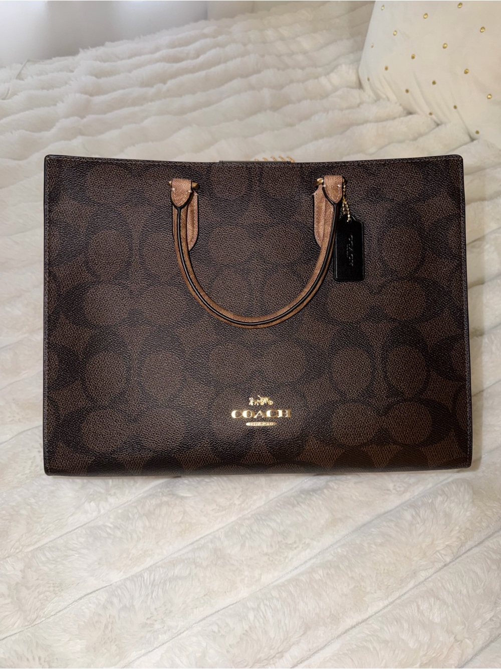 Coach Brown Signature Canvas Tote with Gold Logo